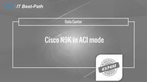 Cisco N9K in ACI mode