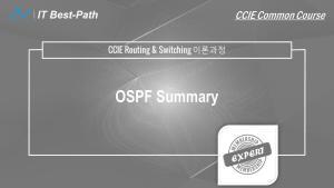[CCIE R&S] OSPF Summary